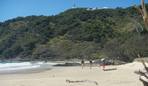 Jack Perkins Walking Track - Holiday Sunshine Coast 0