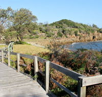 Mimosa Rocks walking track - Sunshine Coast Tourism