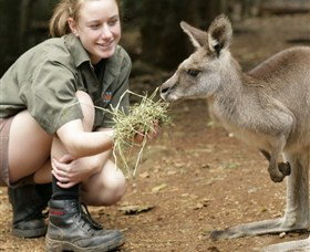 Macadamia Castle - Sunshine Coast Tourism 2