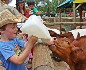 Macadamia Castle - Sunshine Coast Tourism 5