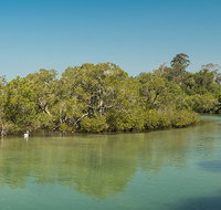 Tyagarah Nature Reserve - Sunshine Coast Tourism