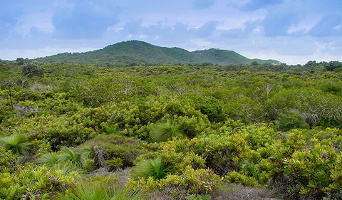 Arakwal National Park - Sunshine Coast Tourism 1