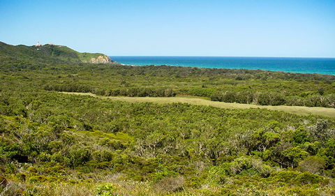 Arakwal National Park - Sunshine Coast Tourism 2