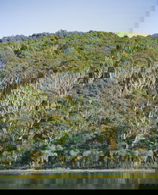 Ben Boyd National Park - Sunshine Coast Tourism 5