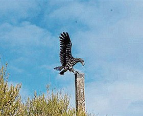 Panboola Wetlands - Holiday Sunshine Coast 1