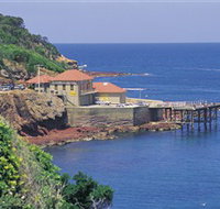 Merimbula Aquarium - Sunshine Coast Tourism