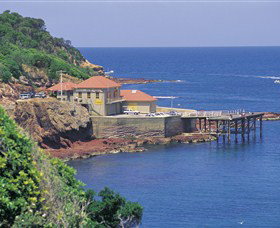 Merimbula Aquarium - Sunshine Coast Tourism 0