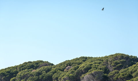 Terrace Beach And Lennards Island - Sunshine Coast Tourism 1