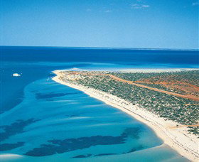 Monkey Mia WA Sunshine Coast Tourism