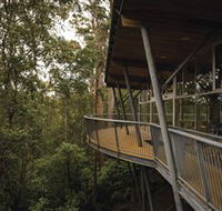 Tarkine Forest Adventures - Dismal Swamp