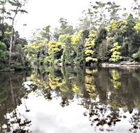 Arthur River