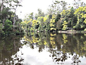 Arthur River - Sunshine Coast Tourism 0