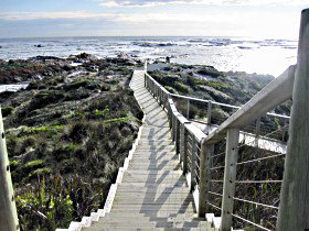 Arthur River - Sunshine Coast Tourism 1