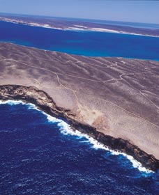 Zuytdorp Cliffs - Holiday Sunshine Coast 1