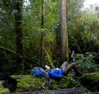 The Tarkine Drive