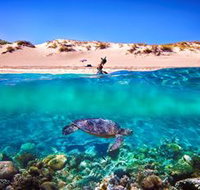 Snorkel the Ningaloo Reef - Sunshine Coast Tourism