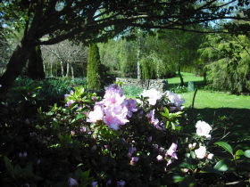 Annsleigh Gardens And Cafe - Sunshine Coast Tourism 3