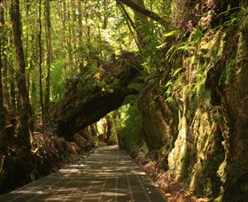 Philosopher Falls - Holiday Sunshine Coast 0