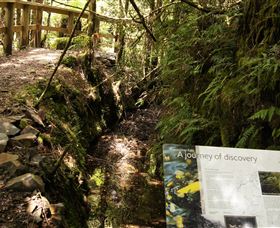 Philosopher Falls - Holiday Sunshine Coast 1