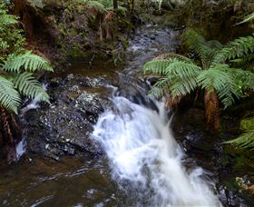 Philosopher Falls - Holiday Sunshine Coast 4