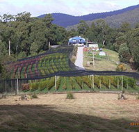 Motton Terraces - Sunshine Coast Tourism