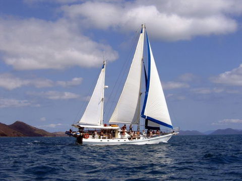 Adventure, Cruise, Dive And Outer Reef - Whitsundays Sailing Adventures - Sunshine Coast Tourism 6