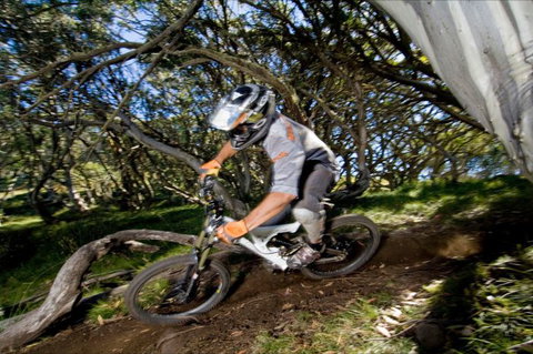 All Terrain Cycles - Holiday Sunshine Coast 0