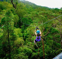 Canyon Flyer - Sunshine Coast Tourism