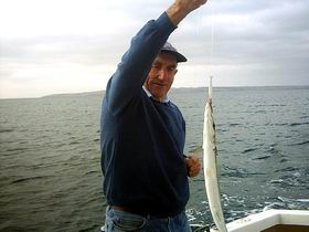 Tory M Fishing Charters - Sunshine Coast Tourism 1