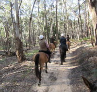 Silver Brumby Trails - Sunshine Coast Tourism