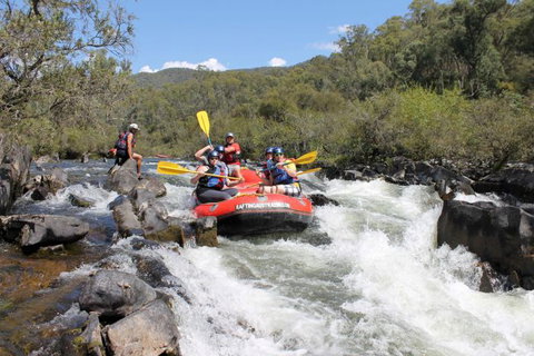Rafting Australia - Sunshine Coast Tourism 0