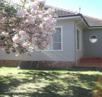 Magnolia Corner