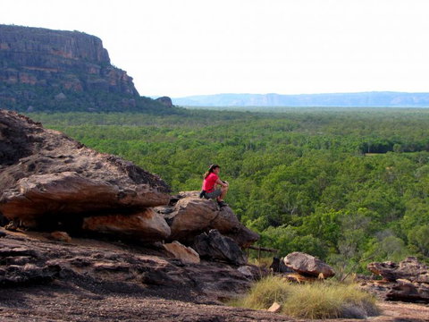 Echidna Walkabout Nature Tours - Sunshine Coast Tourism 21
