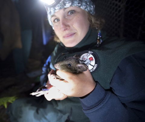 Naturewise At Tidbinbilla - Sunshine Coast Tourism 0