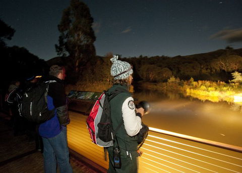 Naturewise At Tidbinbilla - Sunshine Coast Tourism 1