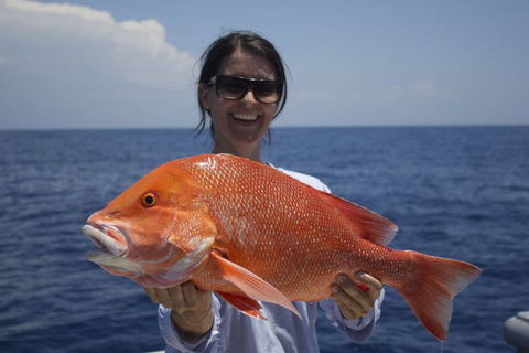 Absolute Ocean Charters - Sunshine Coast Tourism 7
