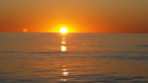 Absolute Ocean Charters - Sunshine Coast Tourism 15