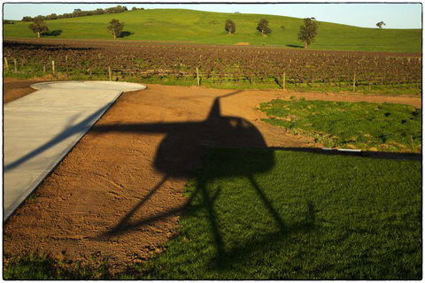 Barossa Helicopters Pty Ltd - Sunshine Coast Tourism 0