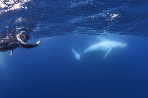 Sunreef Mooloolaba - Holiday Sunshine Coast 0