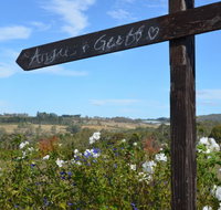 Silver Compass Tours