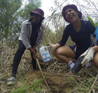 Small World Journeys - Sunshine Coast Tourism