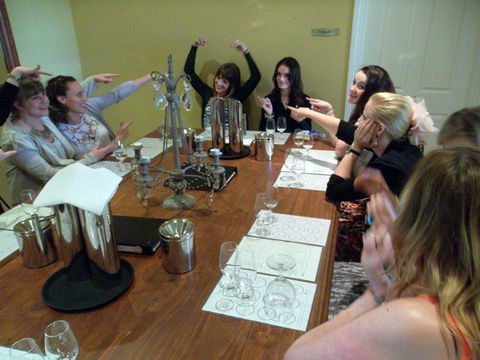 Hunter Valley Wine Tour 4 U - Sunshine Coast Tourism 1