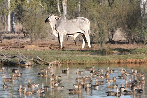 Natural Encounters Trail - Sunshine Coast Tourism 2