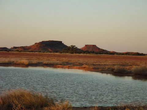 Natural Encounters Trail - Sunshine Coast Tourism 4
