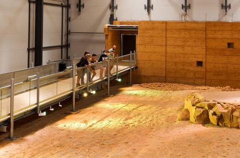 Natural Encounters Trail - Sunshine Coast Tourism 6