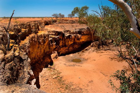 Natural Encounters Trail - Sunshine Coast Tourism 10