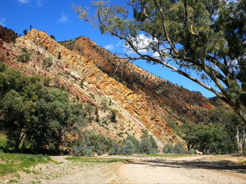 Aussie Heritage Tours - Sunshine Coast Tourism 2