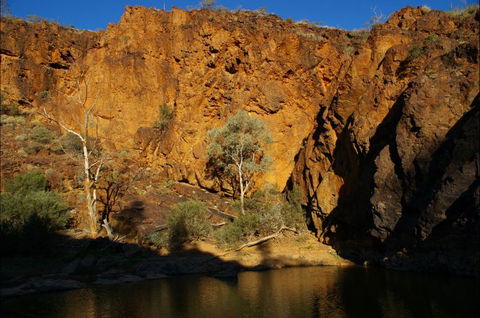 Aussie Heritage Tours - Sunshine Coast Tourism 9