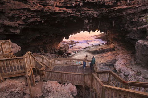 Kangaroo Island Odysseys - Sunshine Coast Tourism 1