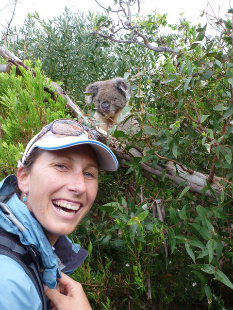 Auswalk Walking Holidays - Sunshine Coast Tourism 0